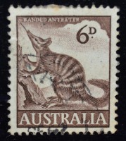 /album/galeria-de-fotos-australia/a0292-1959-jpg/